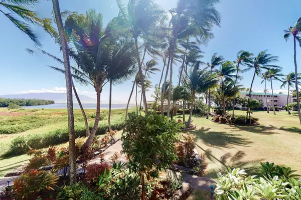 Short walk leading directly toward the beautiful sandy beach and shoreline