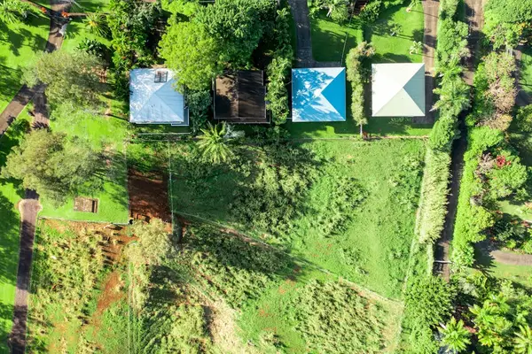 Direct Overhead Drone View of Property Lots & Lush Greenery