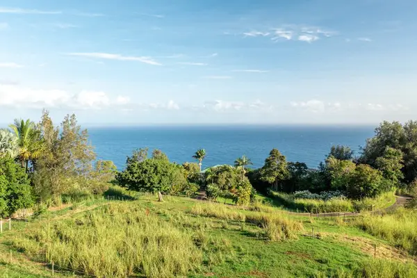 Sweeping Ocean Horizons Framed by Coastal Landscape