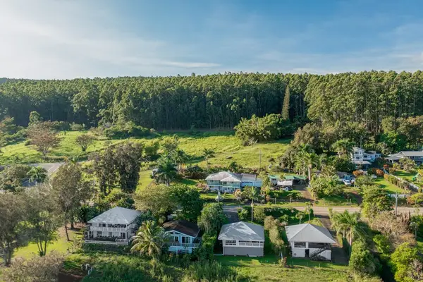 Aerial View of Coastal Neighborhood Nestled Against Tropical Forest