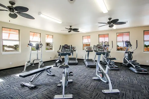 Modern Fitness Studio With Cardio Equipment