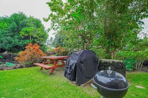 Outdoor BBQ Area For Island Cookouts