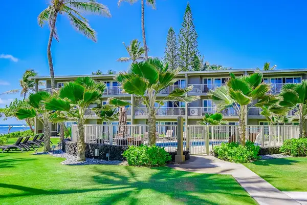 Tropical Resort Garden Oasis