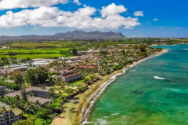 Spectacular Bird's Eye Coastal Panorama