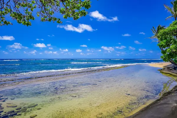 Endless Oceanfront Paradise Views