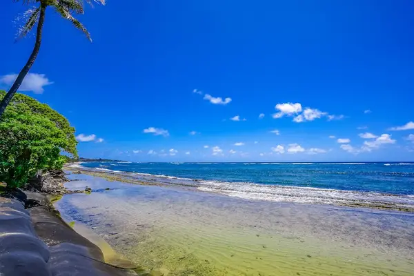 Crystal Clear Shoreline Views