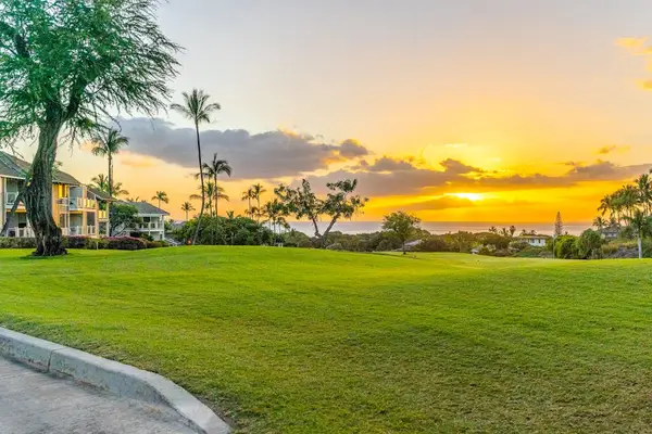 Golden Sunset Over Tropical Greens