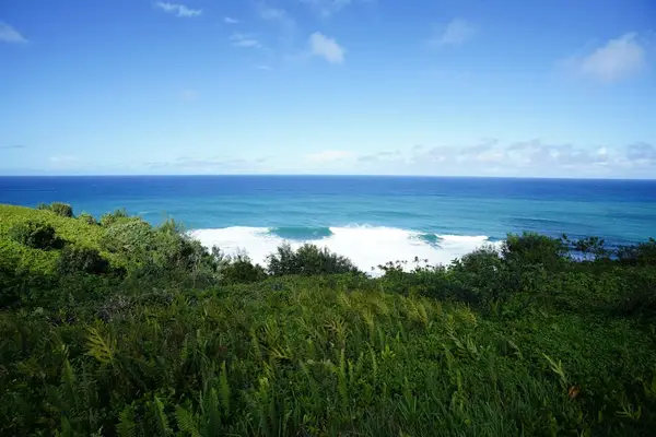 Panoramic ocean view surrounded by tropical greenery
