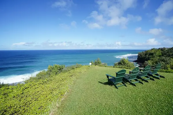 Grassy oceanfront area, perfect for relaxing by the sea