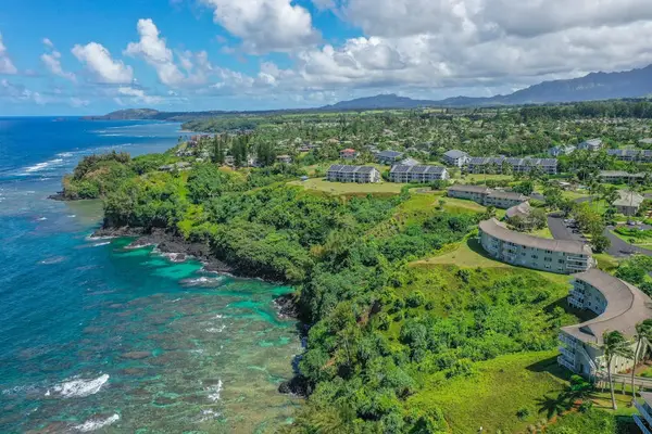 Aerial perspective of the shoreline and surrounding cliffs