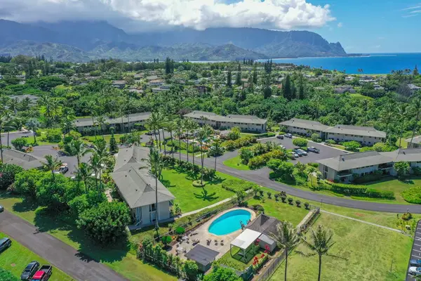 Aerial view of the resort grounds and coastline