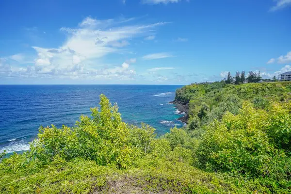Scenic ocean view framed by lush tropical greenery