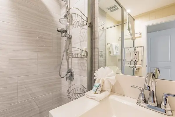 Elegant Bathroom With Modern Finishes
