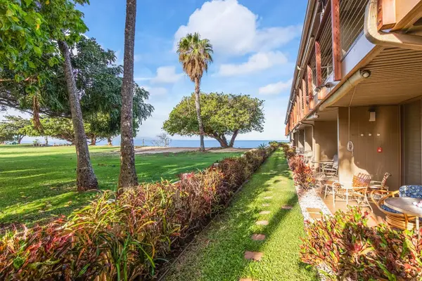 Lush Tropical Pathway To Paradise