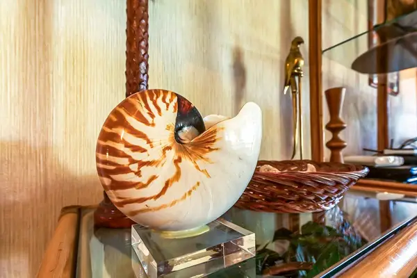 Thoughtfully selected island-inspired décor adds a touch of tropical charm.