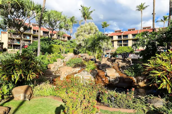 Enjoy the peaceful resort gardens surrounded by tropical plants and a charming rock waterfall