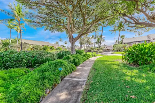 Scenic Garden Walking Path
