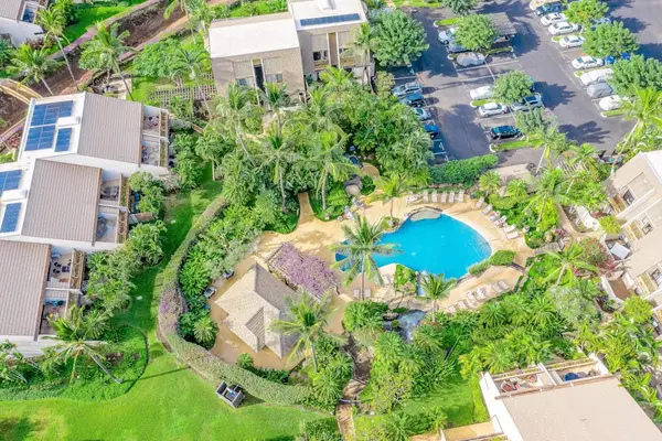 Resort Pool From Above