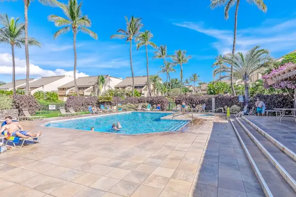 Palm Lined Resort Pool Oasis