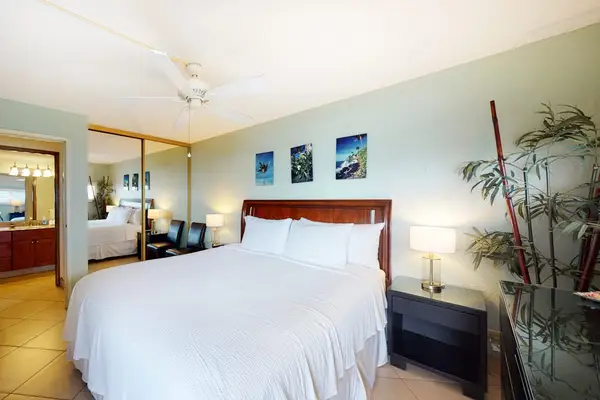 Master Bedroom with king bed and an en suite bathroom.