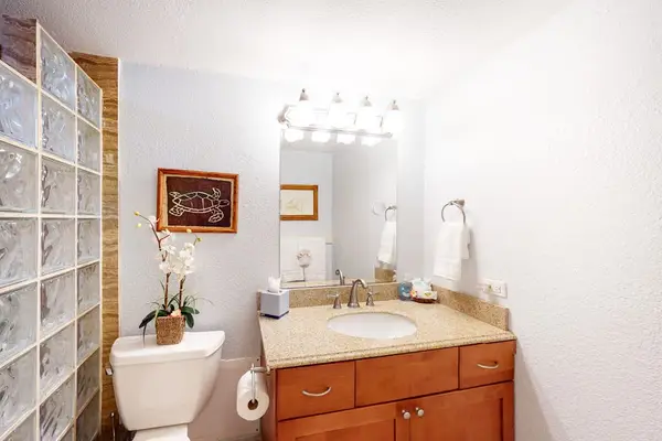 Guest bathroom with walk in tiled shower.