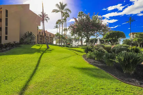 Lush lawn with peaceful tropical surroundings