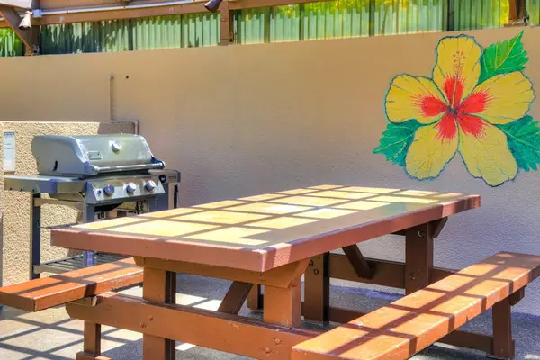 Outdoor barbecue area with picnic seating for casual meals