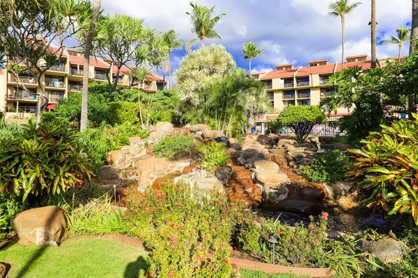 Tropical garden with vibrant landscaping and peaceful pathways
