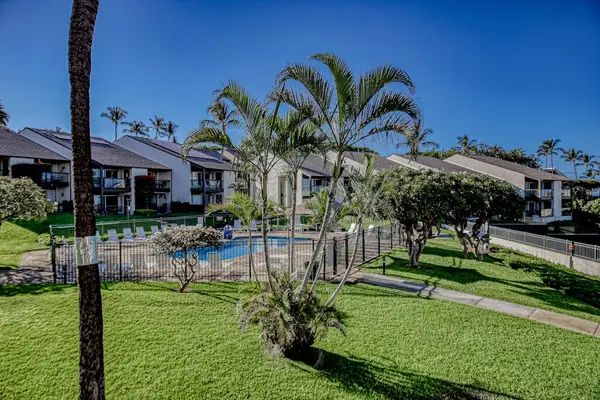 Lush resort grounds lined with palm trees