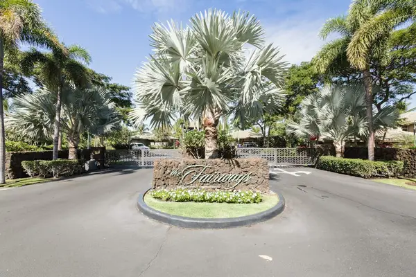 Grand Palm-Lined Resort Drive