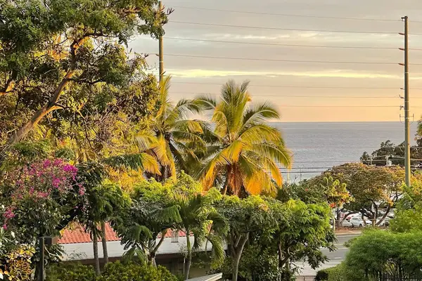 Scenic Ocean & Tropical Views from Property