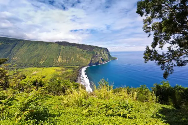 Breathtaking ocean cliffs reveal dramatic coastal scenery beyond the property