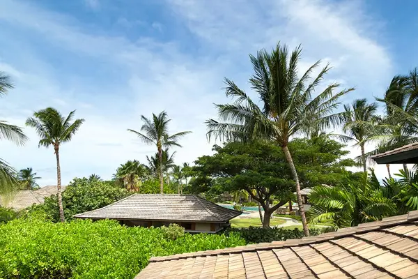 Scenic Upper-Level View of Resort Grounds & Tropical Palms