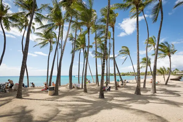 Swaying palm trees line the white sandy beach, with the turquoise waters of the Pacific Ocean creating a breathtaking tropical backdrop.