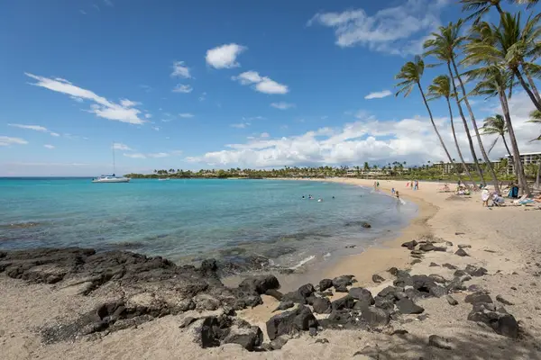 Turquoise waters, sandy beaches and swaying palm trees - Tropical Paradise