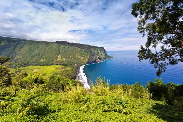 Hawaii's lush coastline