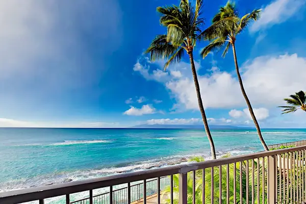 Palm Framed Ocean Views From Paradise