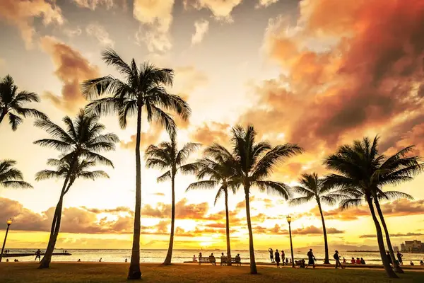 Feel the ocean breeze while enjoying relaxing days by the nearby beach