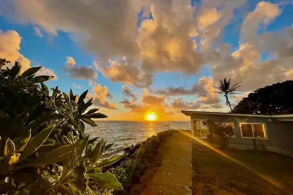 View from the backyard