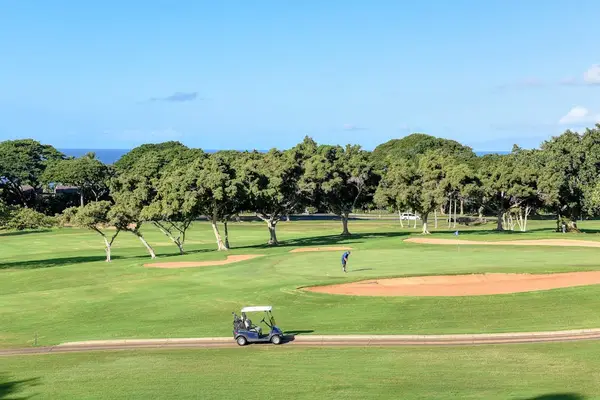 Championship Golf Course Scenery