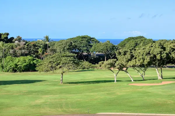 Lush Fairway Views