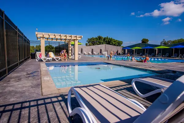 Sparkling Resort Pool Made For Sunny Days