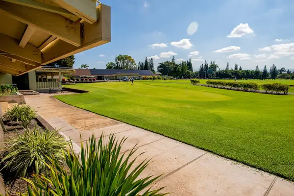 Expansive Green Space Perfect For Relaxation