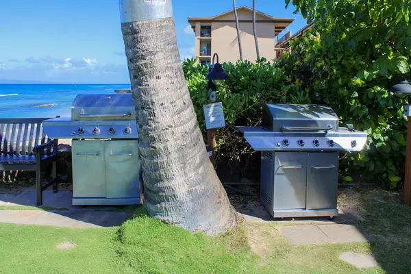 Outdoor BBQ Station For Memorable Cookouts
