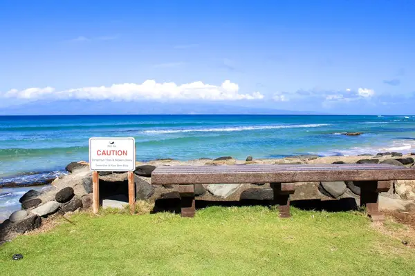 Oceanfront Lawn With Picture-Perfect Views
