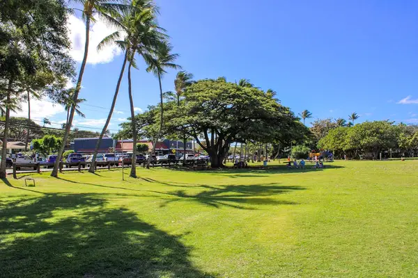 Spacious Oceanfront Lawn For Endless Relaxation