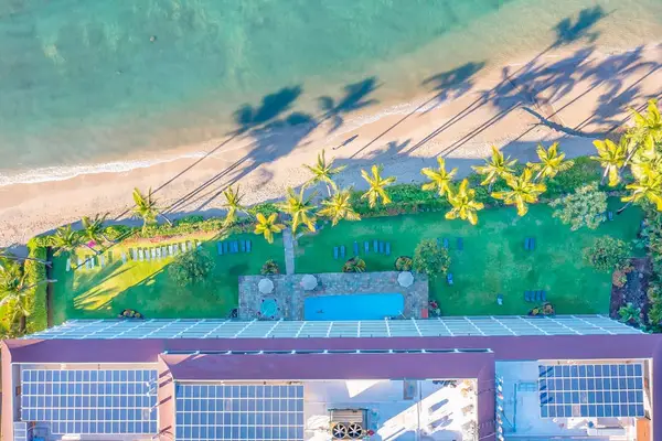 Tropical Coastline From Above