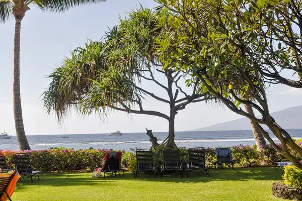 Shaded Oceanfront Picnic Spot