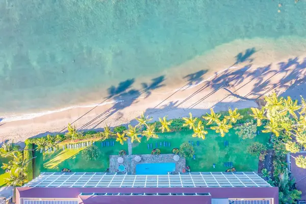 Birds Eye View Of Paradise