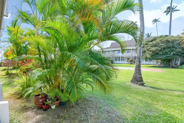 Landscaped tropical garden with palm trees and lawn